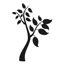 Tree With Branches And Big Leaves Icon