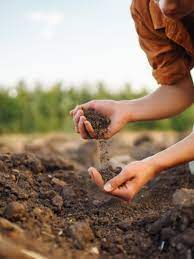 How To Improve Clay Soil For Vegetable
