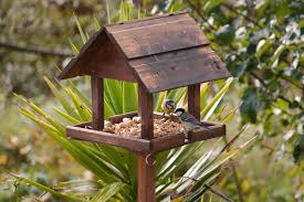 How To Build A Bird Table Blog