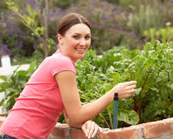 5 Food Items That Will Help Your Garden