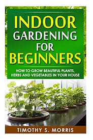 Indoor Gardening For Beginners How To