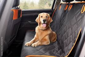 Special Dog Plus Carne Pet Delivery