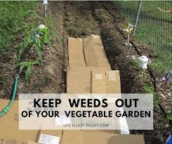 Weeds In Your Garden