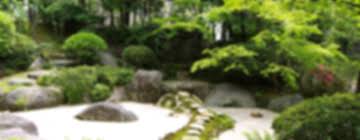 7 Japanese Gardens You Ll Want To