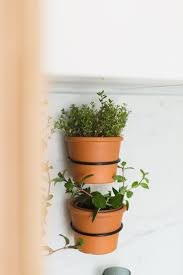 Indoor Herb Wall Garden