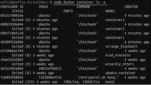 remove docker containers