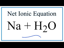 How To Write The Net Ionic Equation For