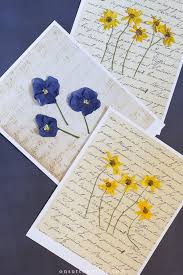 Diy Pressed Flower Art On Sutton Place