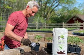 Setting Plants Up For Success In Spring