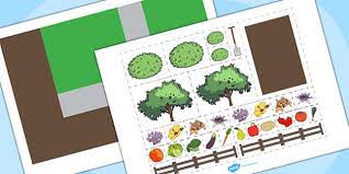 Garden Plan Activity Teacher Made