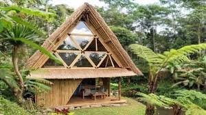 Bamboo House Designs In Farmhouse