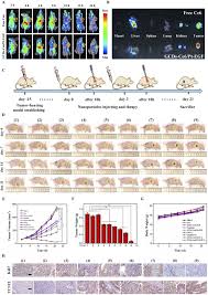 targeted chemo photodynamic therapy