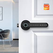 Interior Door Lock With Wifi