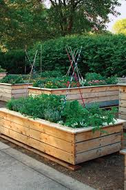 Stylish Raised Bed Ideas Finegardening