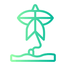 Kite Generic Gradient Icon