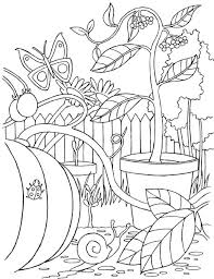 Vegetable And Flower Garden Coloring