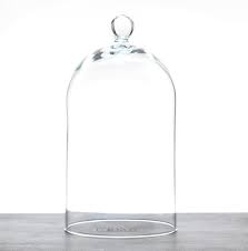 Glass Dome Display Cloche With Knob H24