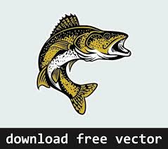 Walleye Vector Art Icons And Graphics