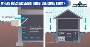 Musty Smell Out Of Your Basement