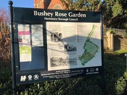 Picture Of Bushey Rose Garden Tripadvisor