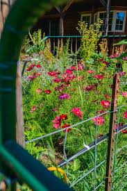 Cottage Garden