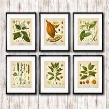 Botanical Art Set Of 6 Vintage