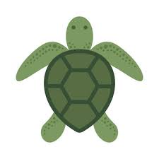 Turtle Clipart Images Browse 14 363
