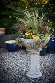 Easy Care Containers Garden