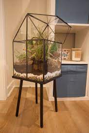 Indoor Glass House Terrarium