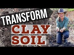 Improve Heavy Clay Soil In The Garden