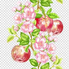 Apple Fruit Tree Icon Apple