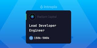 Lead Developer Engineer At Radiant