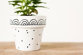 Graphic Hand Painted Flower Pots Lulu