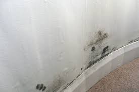 9 Tips To Control Mould Before It