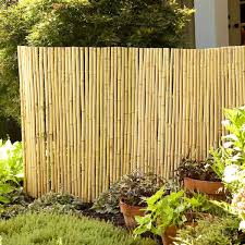 Natural Bamboo Fence