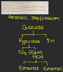 Aerover 2 Write A Word Equation