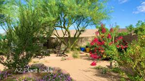 Flagstone Archives Desert Gardening 101