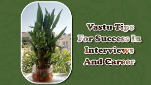 Invaluable Vastu Tips For Success In