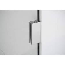 Panel Shower Door In Brushed Nickel