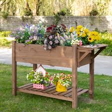 Wooden Raised Garden Plant