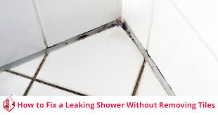 Fix A Leaking Shower Without Removing Tiles