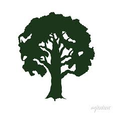 Green Tree Leafy Plant Silhouette