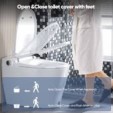 Horow Elongated Smart Toilet Bidet In