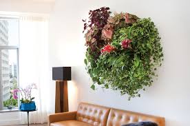 Grow Your Very Own Gorgeous Living Wall