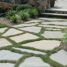 Garden Path Stepping Stones Organic