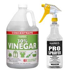 Cleaning Vinegar Concentrate And 32 Oz