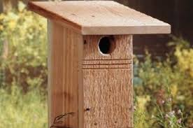 Bluebird House Plans Craftybirds Com