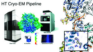 structural biology