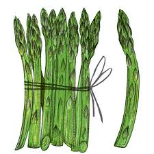 How To Grow Asparagus House Garden