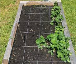 Square Foot Gardening Planting Numbers